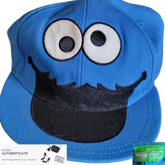 Nickelodeon Other - COOKIE MONSTER Sesame Street OFFICIAL BRAND NAME MERCH Fitted Baseball Style Hat